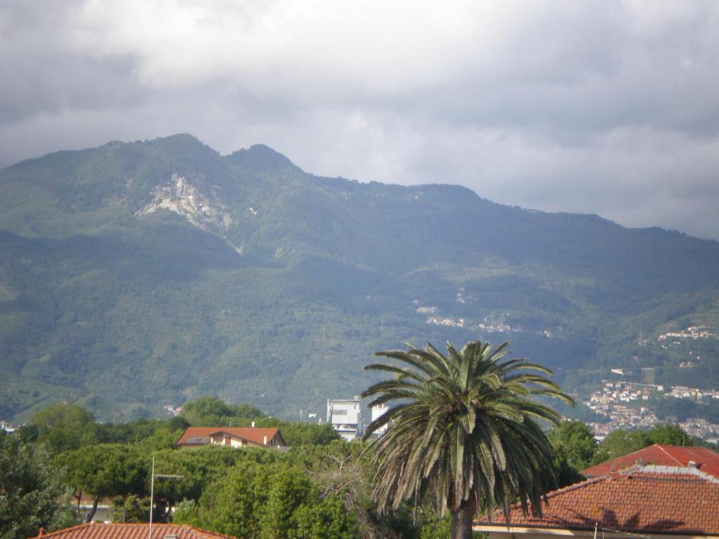 Hotel Giulia Marina di Massa Bagian luar foto